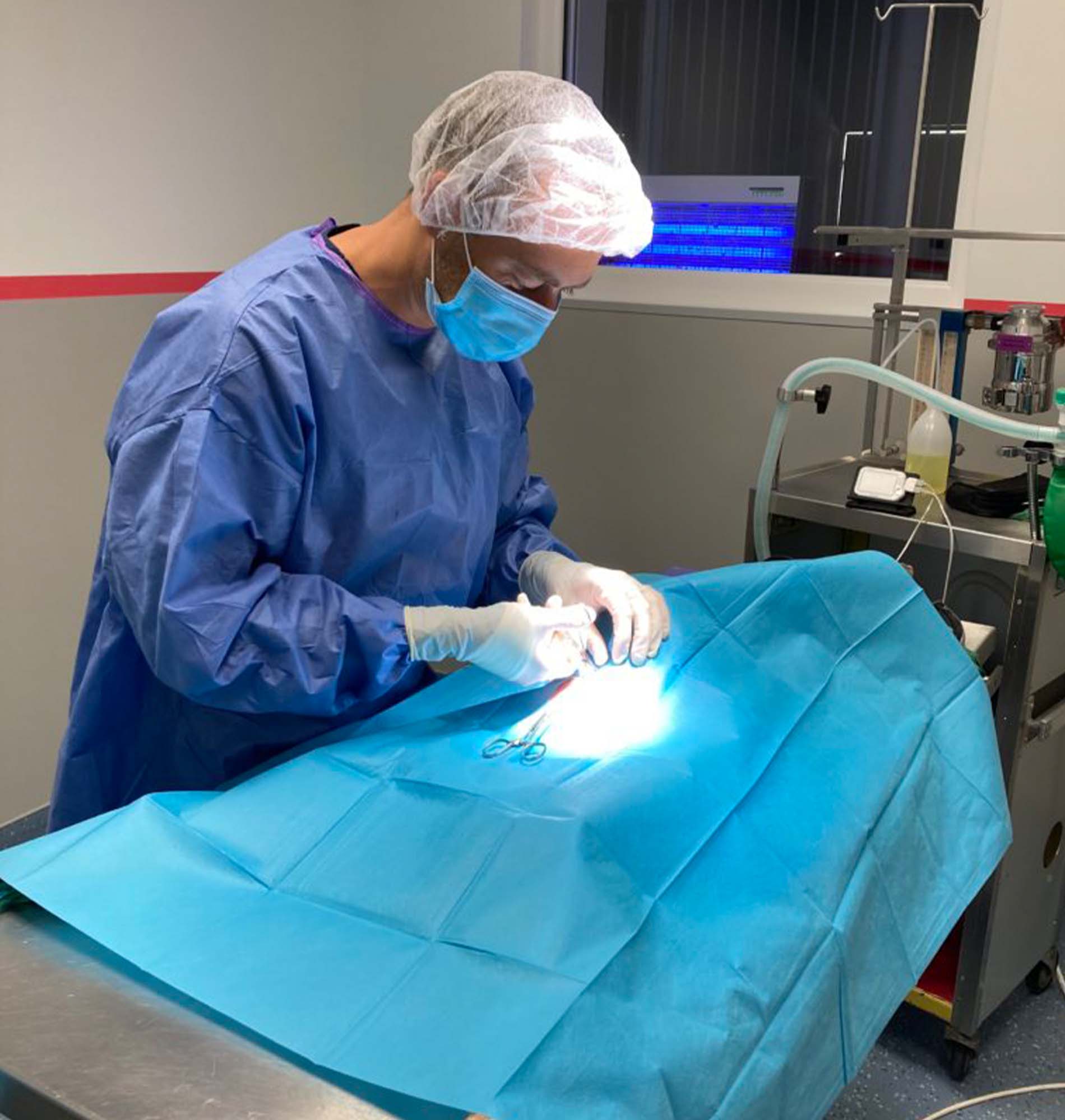 CHIRURGIE (3)